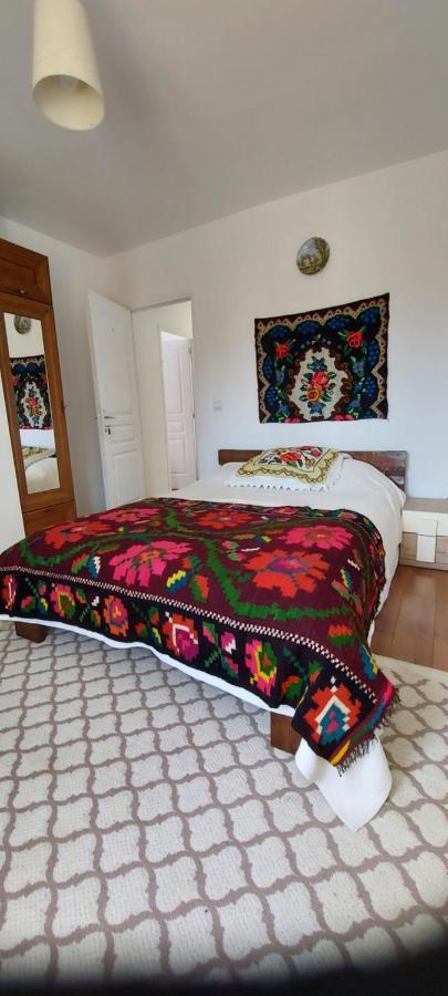 Hotel La Ionica Rozavlea Mm Extérieur photo